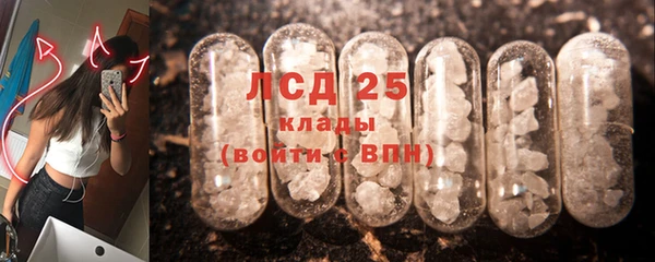 прущий лед Алзамай