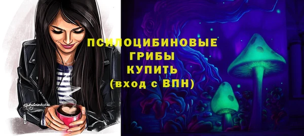 прущий лед Алзамай