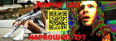 spice Камышлов