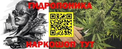 spice Камышлов