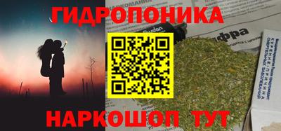 apvp Кандалакша