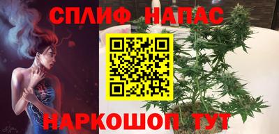 spice Камышлов