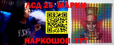 индика Пенза